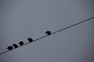 IMG_2369.jpg