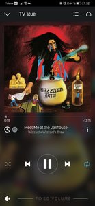 Screenshot_20210416_215213_com.lenbrook.sovi.bluesound.jpg