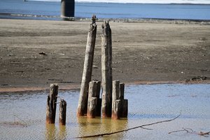 5C34A7EA-DEBC-41B8-BB3D-304A2097CC2F.jpeg