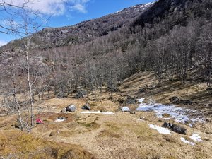 IMG_20210424_124944.jpg