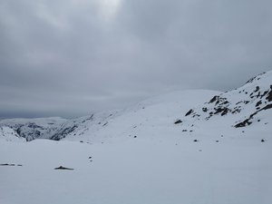 IMG_20210502_154637.jpg