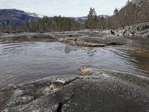IMG_20210506_144759.jpg