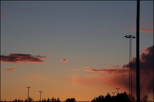 IMG_2386.jpg