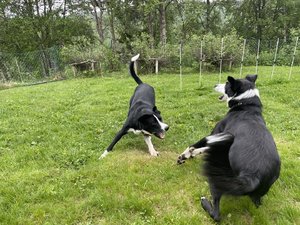 9182ECB1-68ED-40DE-8D7A-5AB6AF5EE3F7.jpeg
