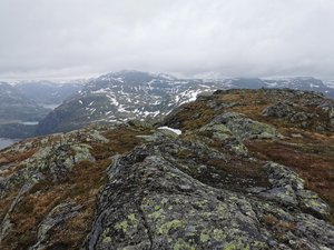 IMG_20210613_111016.jpg