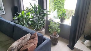 20210614_100831.jpg