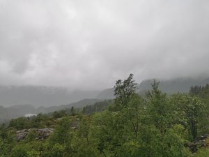 IMG_20210614_111720.jpg