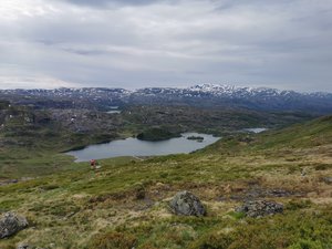 IMG_20210617_113217.jpg