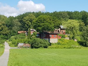 20210623_113853.jpg