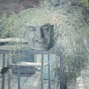 MugLife_07072021193151.gif