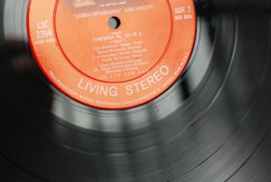 DSC_0019.jpg