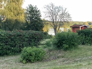 D3D88466-309B-4A5B-8A03-C903A422F843.jpeg