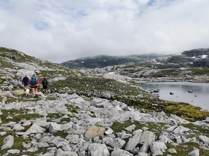 IMG_20210731_124447.jpg