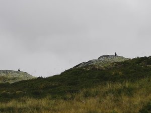 IMG_20210731_151153.jpg