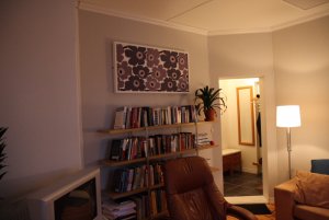 DPP_0001_resize.JPG