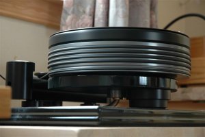 Nottingham Dais 021 (Medium).jpg