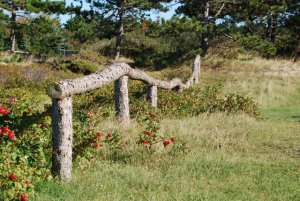 DSC_0007.jpg