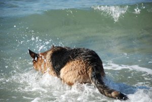 DSC_0015.jpg