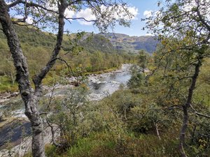 IMG_20210827_140958.jpg