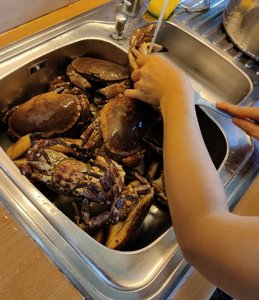 IMG_20210831_174229__01.jpg