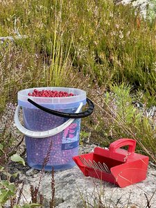 IMG_0372.JPG