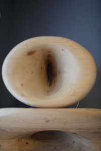 5B6C9781.JPG