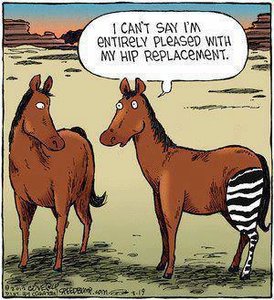 hip replacement.jpg