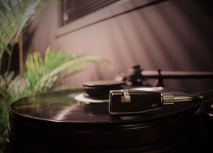 DSC_0172.jpg