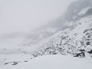 IMG_20211116_121238.jpg