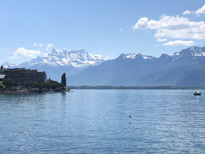 IMG_1124.jpeg