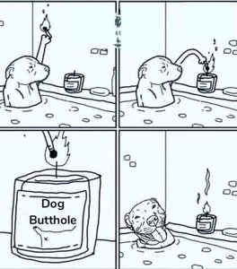 FB_IMG_1637744867683.jpg