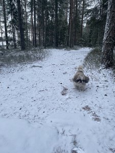 437155CF-B468-4F5C-8879-E9E9EF092D86.jpeg
