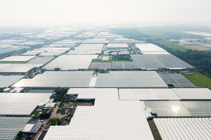 greenhouses-westland-zuid-holland-netherlands-CUF45351.jpg