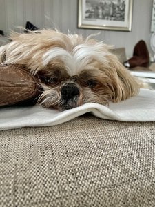 E296637C-EFCE-4D84-ADFF-035D02FC6D63.jpeg