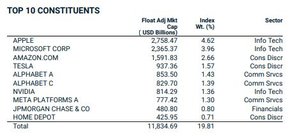 msci_storste.JPG