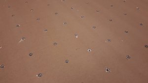 20211220_090218.jpg