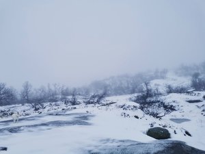 IMG_20211230_105118.jpg