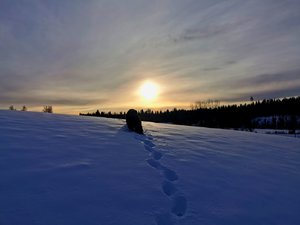 IMG_20211227_011007.jpg
