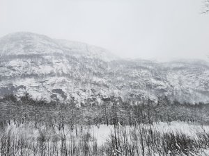 IMG_20220104_112623.jpg