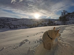 IMG_20220105_114223.jpg