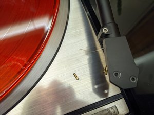 PXL_20220108_235029036.jpg