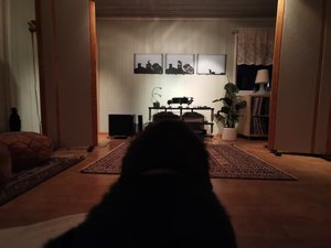IMG_20220115_165734.jpg
