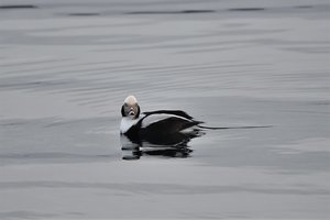 DSC_9148 (2).JPG