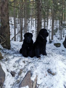 IMG_20220120_140050.jpg