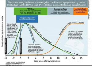 Sammenhæng mellem virusmængden, de kliniske symptomer og de tre.png