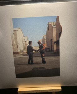 A854323E-FD43-4D0D-A724-2E4CBEF6842C.jpeg