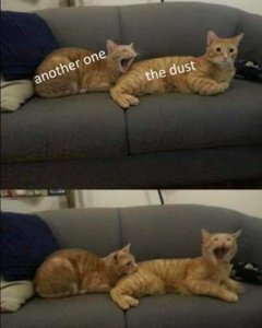 FB_IMG_1633194413338.jpg