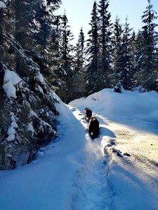 IMG_20220204_162229.jpg