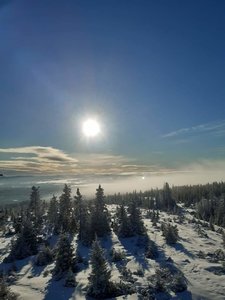 Lauvhøgda86.jpg