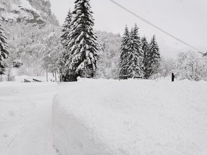 IMG_20220206_151704.jpg